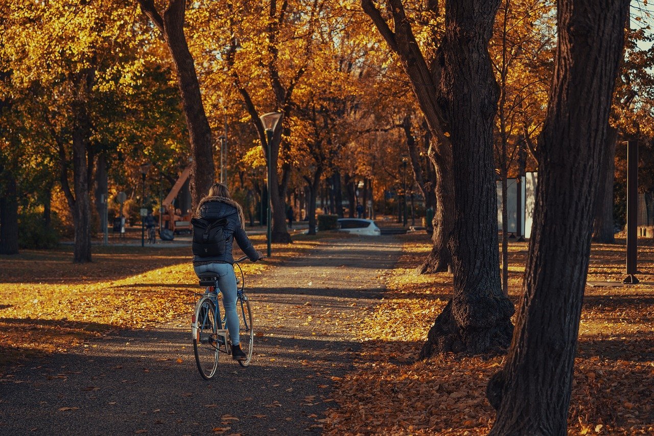 A woman cycling through a London park in autumn, representing road safety and awareness around cycling accident compensation.