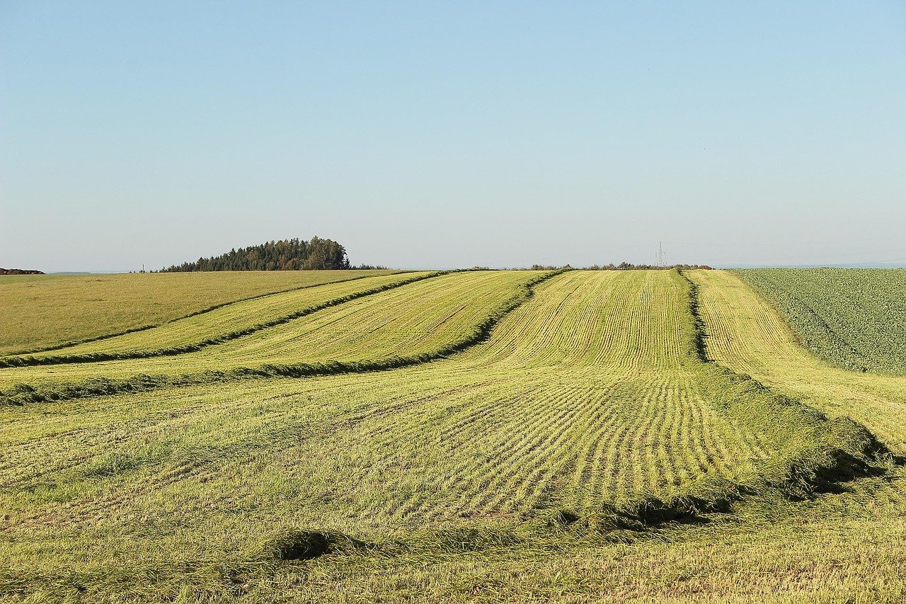 Unregistered land in the UK shown as a large, freshly cut agricultural field under a clear blue sky.
